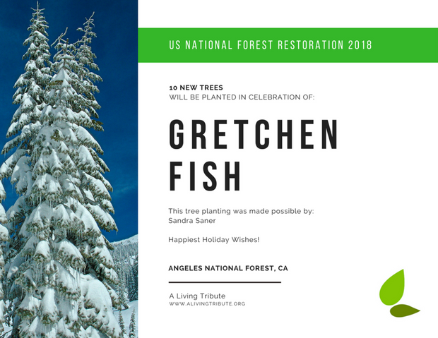 Plant-a-Tree Gift with E-Certificate