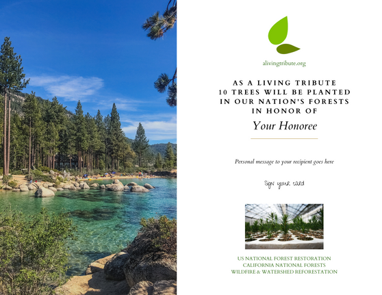 A scenic view of a forested area with a clear blue lake in the foreground, likely a location suitable for tree planting in California National Forests.