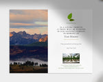 Idaho Plant a Tree Card