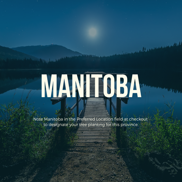 Plant a Tree in Canada with Personalized Photo Card