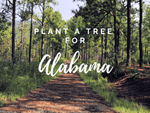 Plant a Tree in Alabama