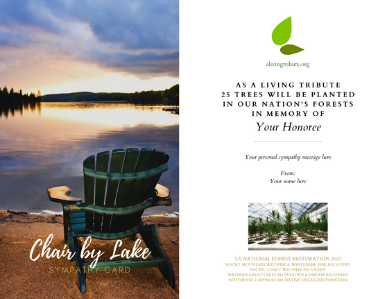 Sympathy Card for Tribute Tree Gift