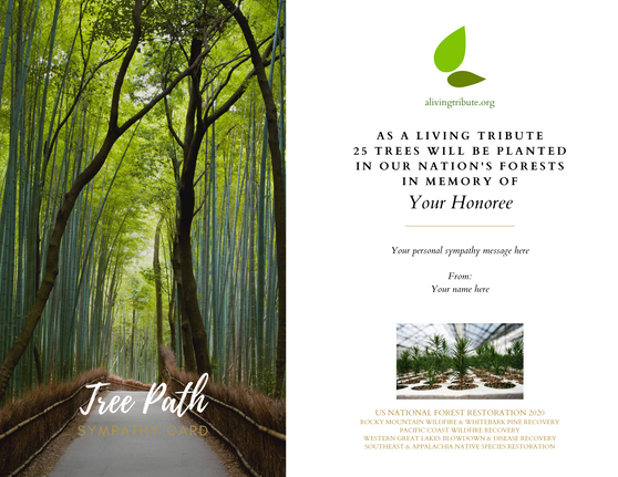 Sympathy Card for Tribute Tree Gift