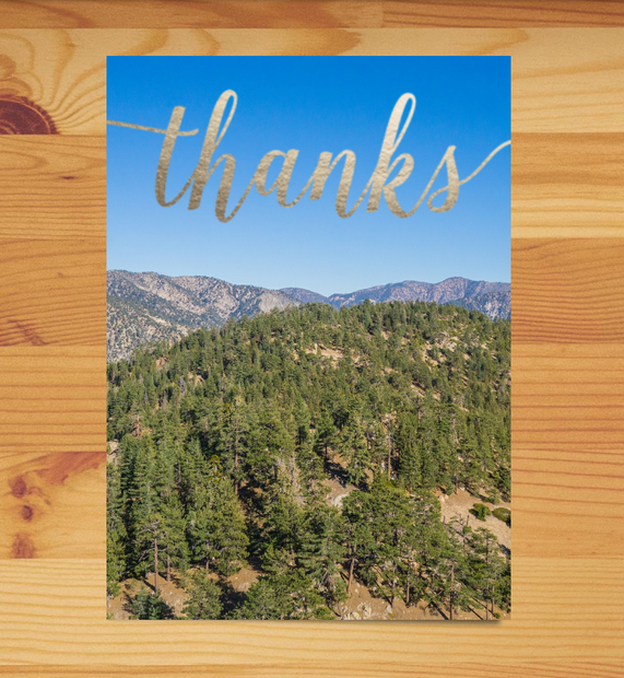 Plant-a-Tree Thank You Card