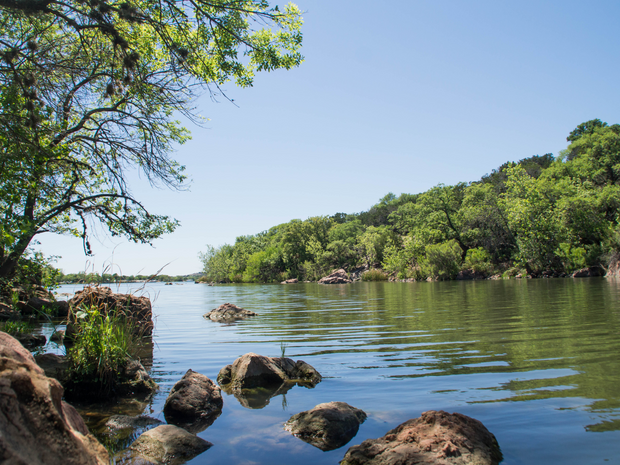 Plant a Tree for Someone in Texas - Memorial & Tribute Trees