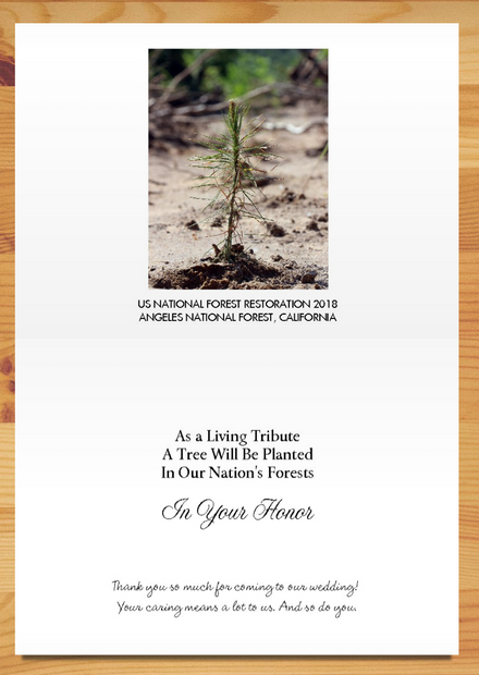 Plant-a-Tree Cards - A Living Tribute